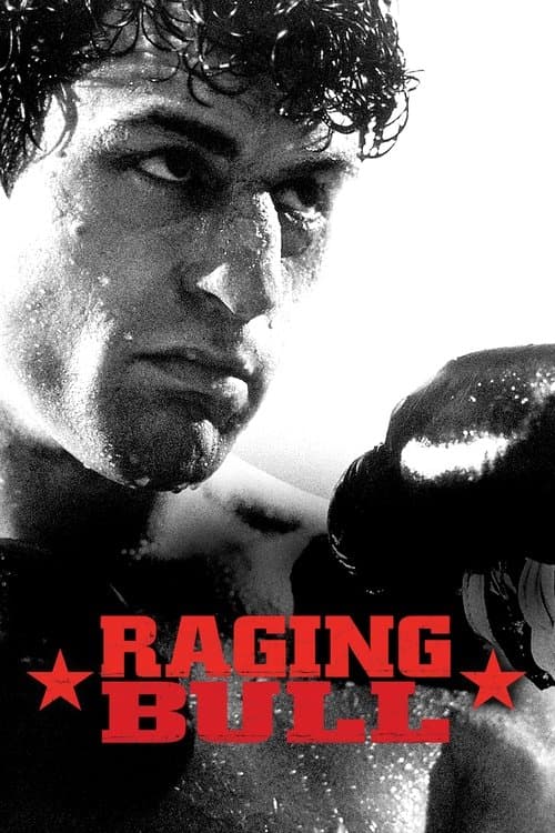 Raging Bull (1980) cover artwork