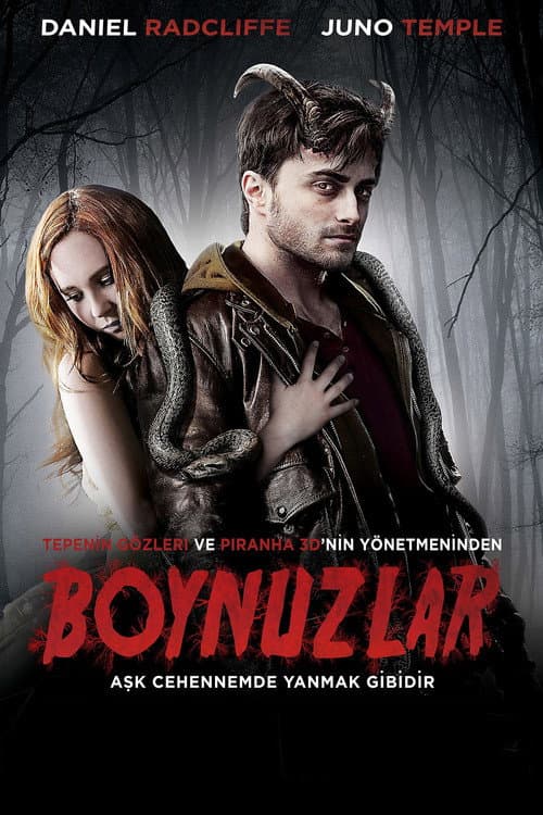 Boynuzlar (2013) kapak görseli