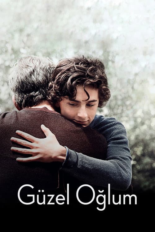 Güzel Oğlum (2018) kapak görseli