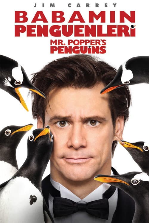 Babamın Penguenleri (2011) kapak görseli