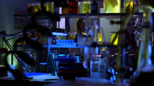 Smallville — Precipice
