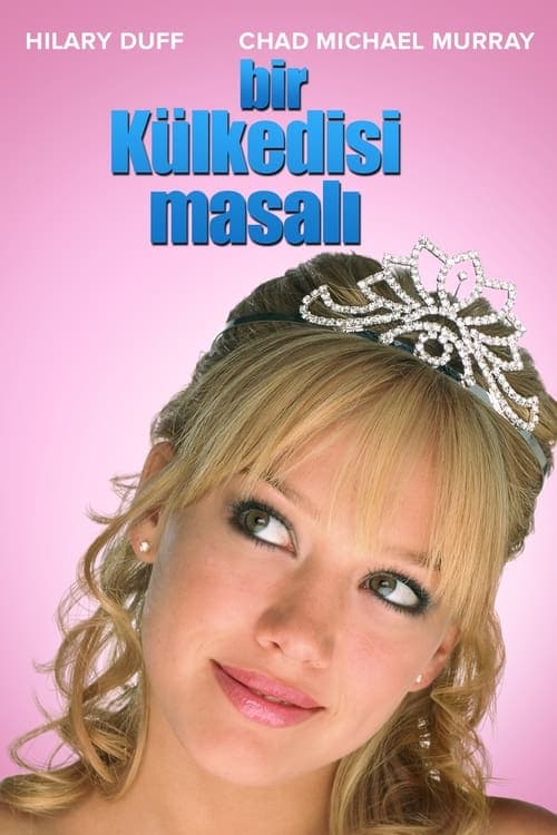Bir Külkedisi Masalı (2004) kapak görseli