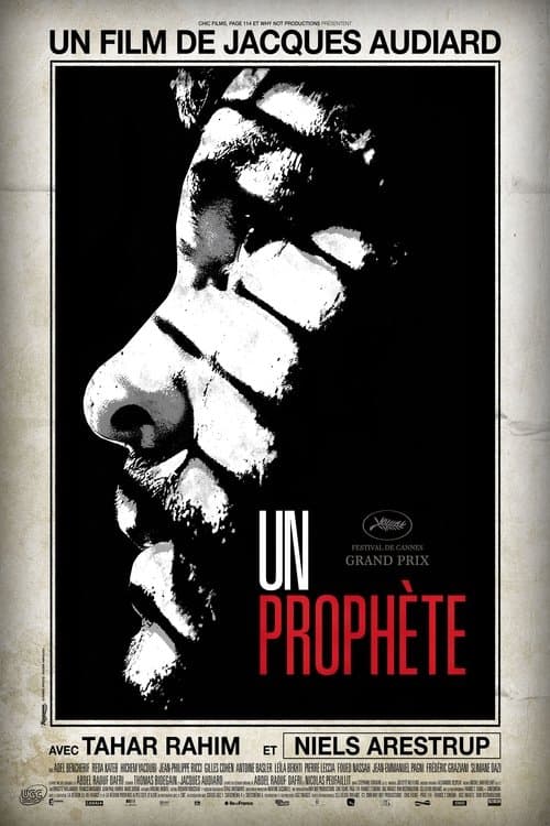 Yeraltı Peygamberi (2009) kapak görseli