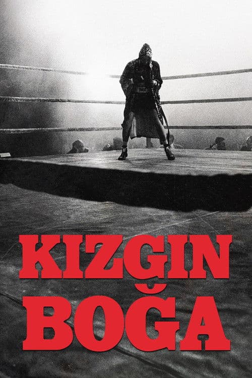 Kızgın Boğa (1980) kapak görseli