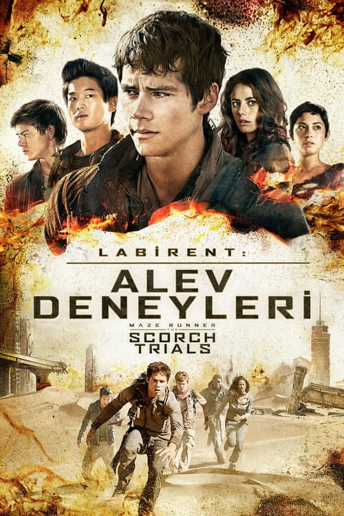 Labirent: Alev Deneyleri (2015) kapak görseli