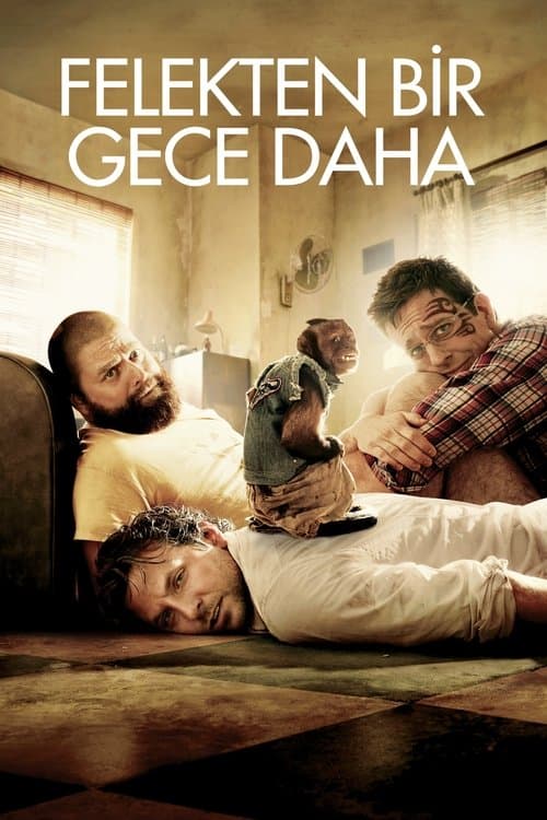 Felekten Bir Gece Daha (2011) kapak görseli