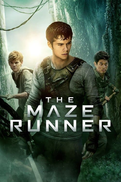 The Maze Runner (2014) cover artwork