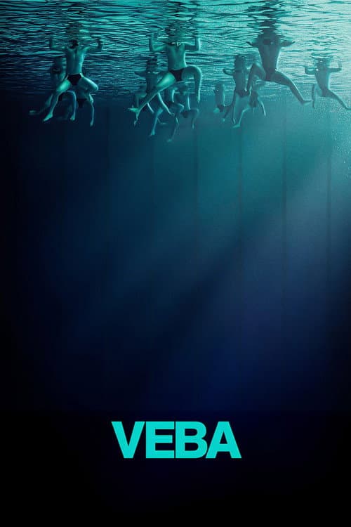 Veba (2025) kapak görseli