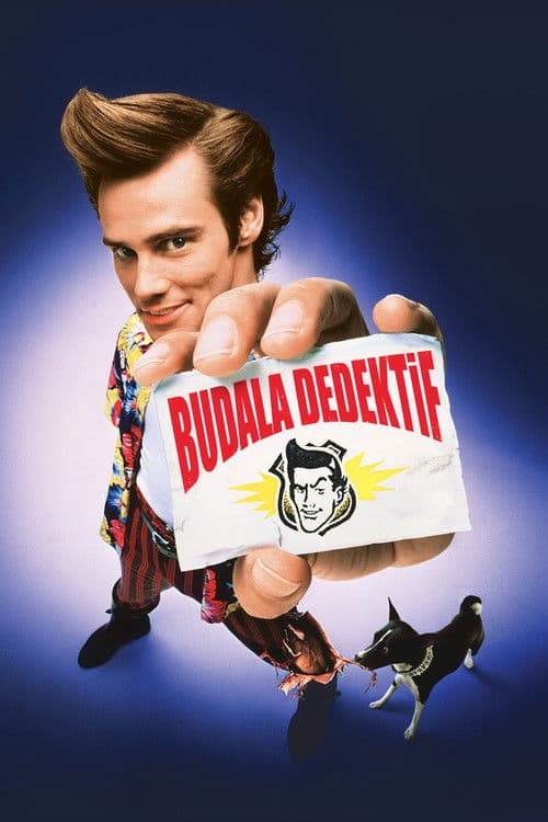 Budala Dedektif (1994) kapak görseli