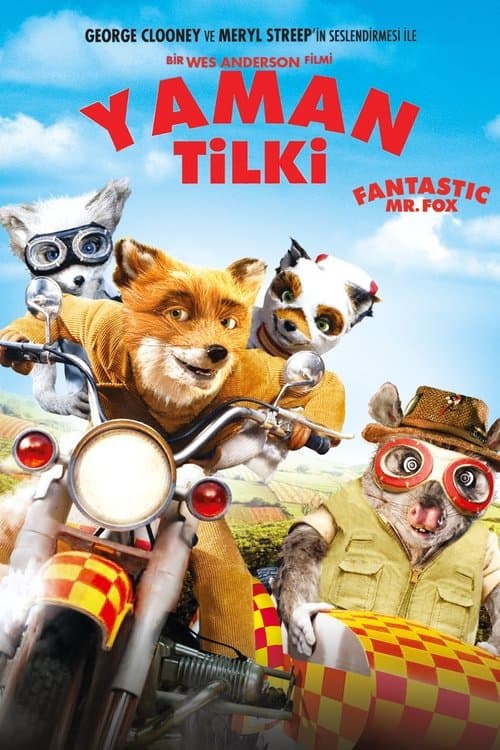 Yaman Tilki (2009) kapak görseli