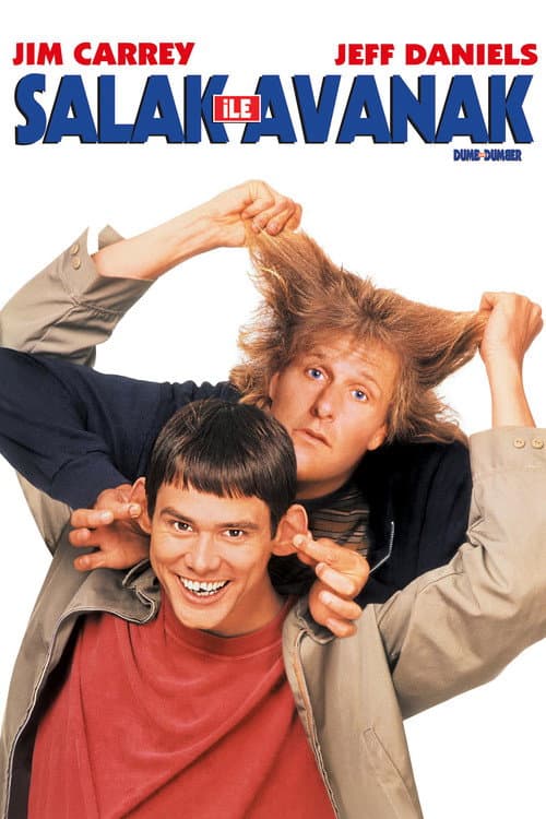 Salak ile Avanak (1994) kapak görseli