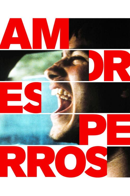 Amores Perros (2000) cover artwork