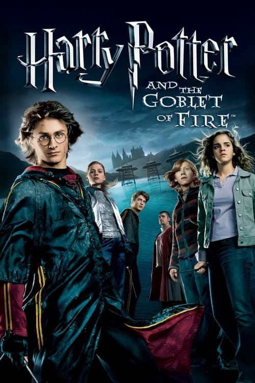 Harry Potter and the Goblet of Fire (2005) cover artwork