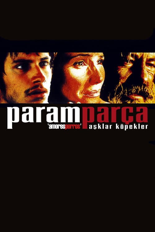 Paramparça Aşklar Köpekler (2000) kapak görseli