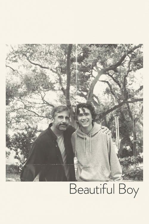 Beautiful Boy (2018) cover artwork