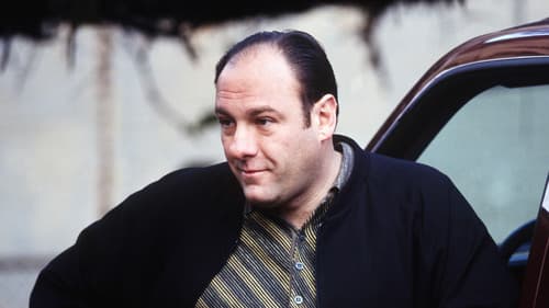 The Sopranos — I Dream of Jeannie Cusamano