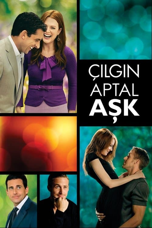 Çılgın Aptal Aşk (2011) kapak görseli
